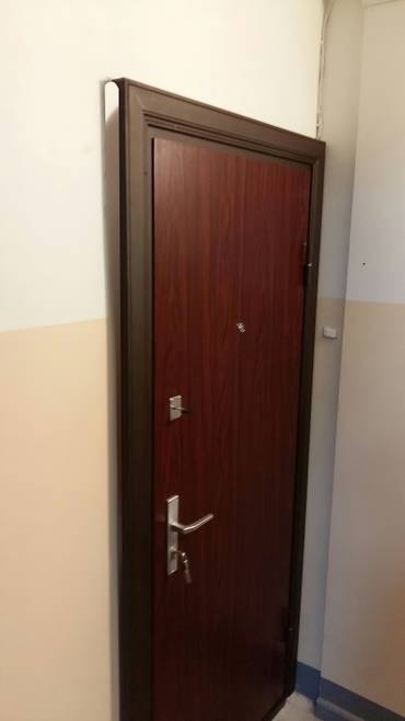 Дверь с темной панелью ламинат